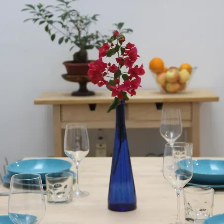 Celia House Appartement